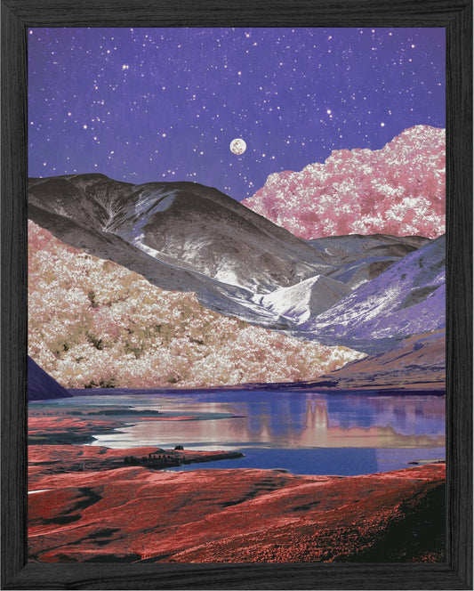 Cherry Blossom Dream Print