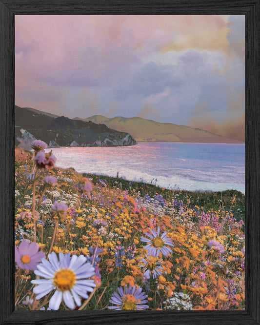 Lavender Fields Print